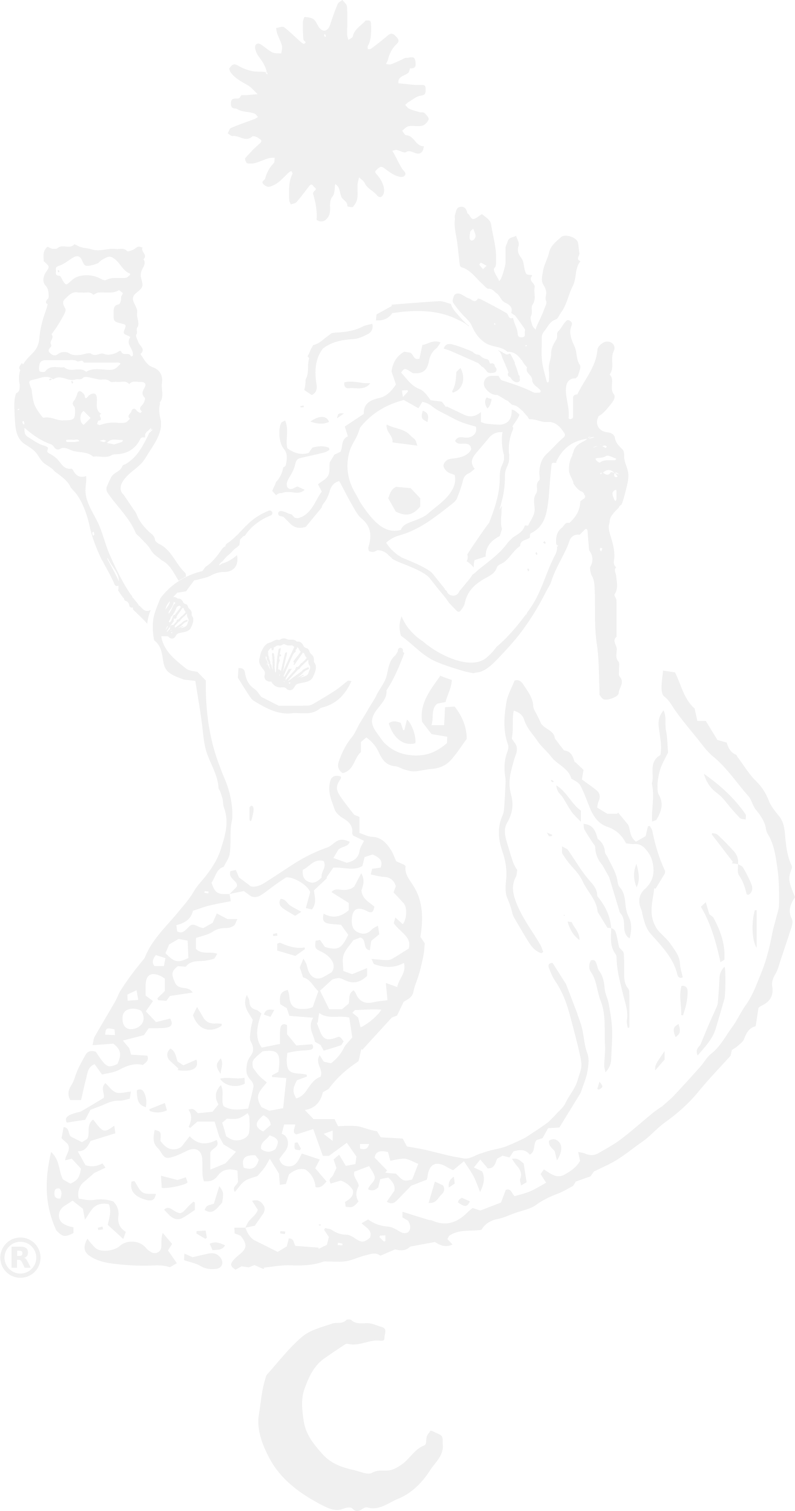 Alegra Organica